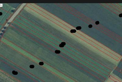 Cota parte 1/2 teren Tarlungeni, ID: R2373793 - 3