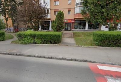 Spațiu comercial, de 150 mp, în Calea București - 1