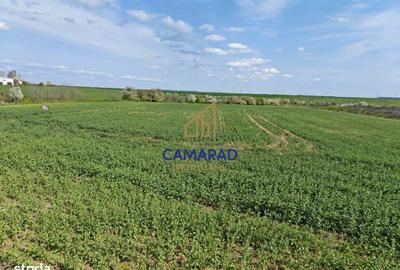 Spațiu comercial, în Berceni - 2