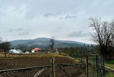 Casă individuală cu 3 camere cu Teren 2100 Mp în Lalașinț - 6