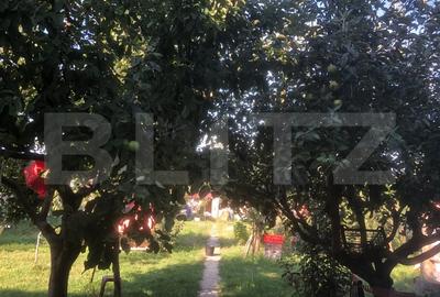 Casa de vanzare , 284 mp , zona strazii Careiului - 19