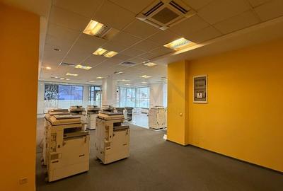 Birou, de 800 mp, în Chitila - 5