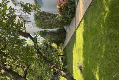 Casă cu 5 camere în Bragadiru