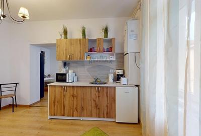 Apartament cu 1 camere nedecomandat, mobilat în Centrul Istoric - 8