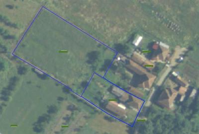 Casă individuală cu 4 camere cu Teren 3892 Mp în Baia de Criș - 20