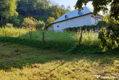 Teren de 7000 mp, în Ștubeie Tisa - 16