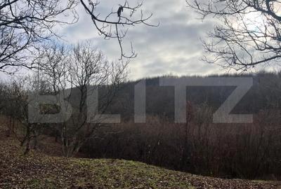 Teren extravilan, 4 hectare, langa livada de mere Ghinda - 1