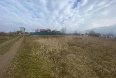 Teren intravilan de 897 mp, în Abrămuț - 3