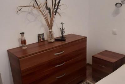 Aparatorii patriei drumul jilavei dubla cu parcare - 4