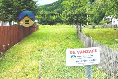 Teren Construcții intravilan de 8000 mp, în Tarcău