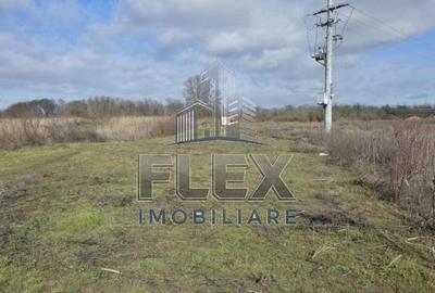 Teren de 38300 mp, în Valea Nucarilor - 8