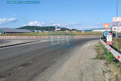 Teren Construcții intravilan de 6000 mp, în Micești - 1