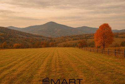 Teren intravilan zona Tocile - 1