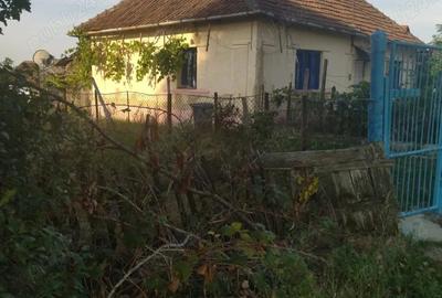 Vand casa locuibila cu vie ?i teren In sat Doh, comuna Maeriste - 3