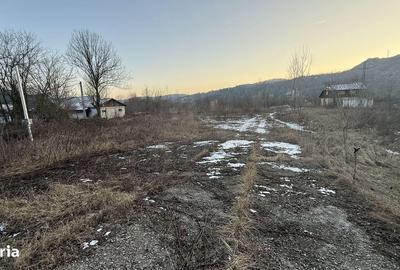 Teren de 10834 mp, în Dumbrăvești - 16