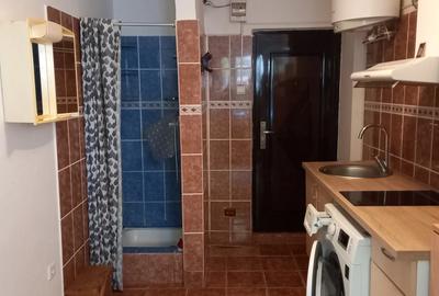 Garsonieră nedecomandată în Valea Rosie - 3