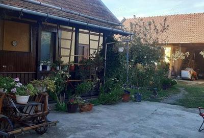 Vand casa in Hitias. - 5