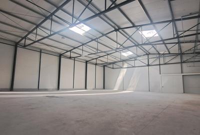 Drumul intre Tarlale, sector 3, hala 590 mp - 3