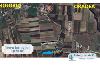 Teren de 13120 mp, în Nojorid - 2