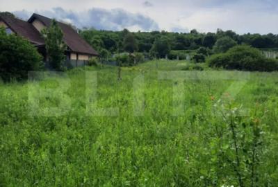 Teren de 1800 mp, în Ciurila - 2