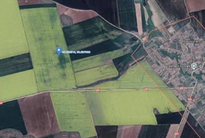 Teren extravilan cota parte 3/24, Nalbant ; ID: R2827364 - 1