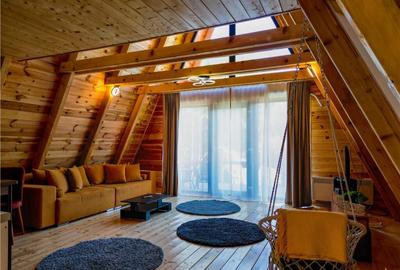 Ansamblu case:rezidential investitional, Moieciu de Jos,con - 1