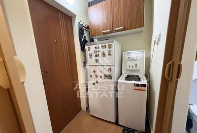 Garsonieră semidecomandată, mobilată în Buziașului - 3