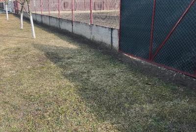 Casă cu 2 camere în Șofronea - 8