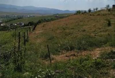 Teren de 5200 mp, în Central - 5