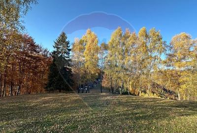 Oportunitate de investiție ! Teren de vis în Pestera - 125.370 mp - 21