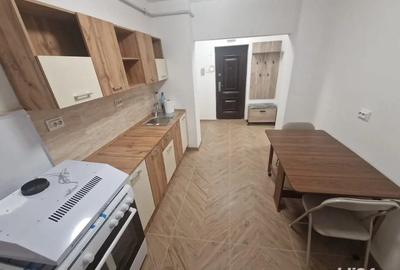 Ofer spre inchiriere aparatament cu 2 camere in craiova, gradina botanica total renovat - 1