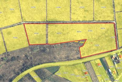 Teren de 46884 mp, în Central - 1