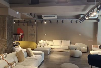 Spațiu comercial, de 175 mp, în Floreasca