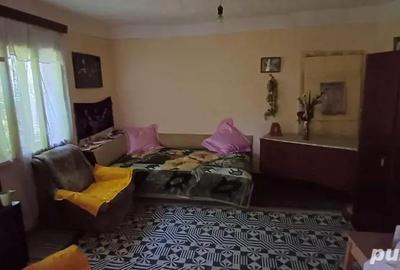 Casă cu 4 camere în Amara - 3