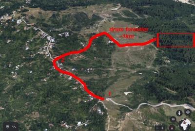 Teren 5000 mp la 3 km de barajul Paltinu, Sotrile,Prahova