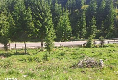 Teren de 1000 mp, în Măguri - 2
