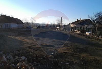 Teren intravilan de 857 mp, în Vest - 5