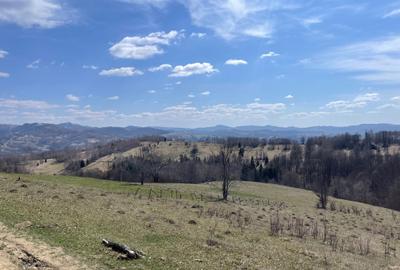 Spațiu comercial, în Central - 7