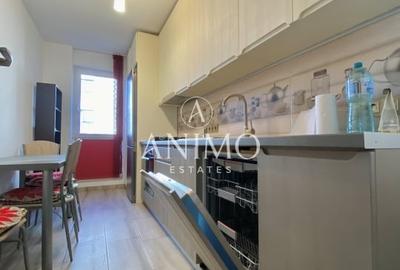 Apartament cu 2 camere decomandat, mobilat în Andrei Mureșanu - 5