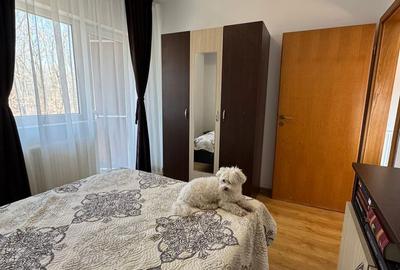 Apartament cu 2 camere, mobilat în Mănăștur - 2
