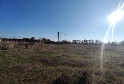 Teren agricol extravilan de 8027 mp, în Urseni - 1