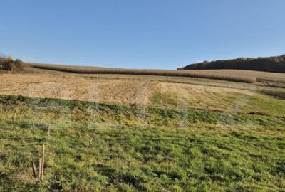 Proprietate de vanzare in Bardesti cu 1900 mp teren - 9