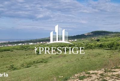 Teren de 2000 mp, în Trei Stejari - 17