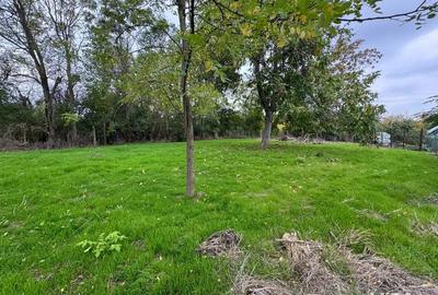 Teren de 802 mp, în Bolintin-Deal - 5