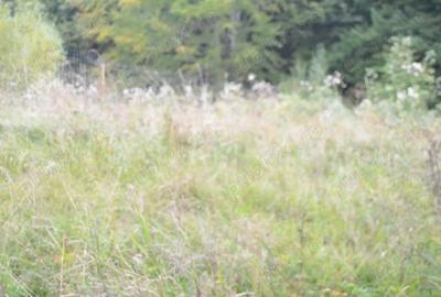 Teren intravilan situat in Busteni-Valea Alba - 3