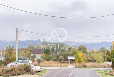 Teren Construcții intravilan de 3695 mp, în Runcu - 6