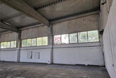 Depozit/hala/spatiu industrial Domnesti - Clinceni - Bragad - 8