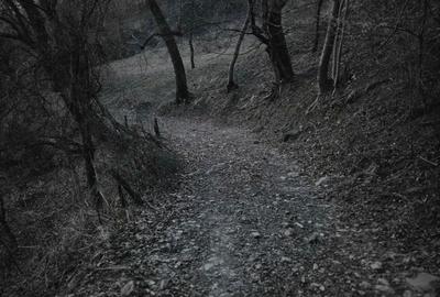 Spațiu comercial, în Valea Doftanei - 4