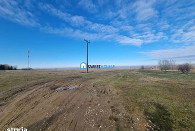 Teren de 22790 mp, în Recea - 8