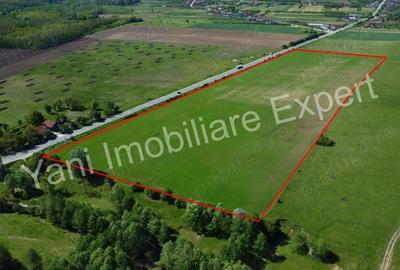 Teren de 69700 mp, în Tigveni - 16